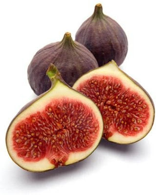 Making Rennet From Fig Sap?!!