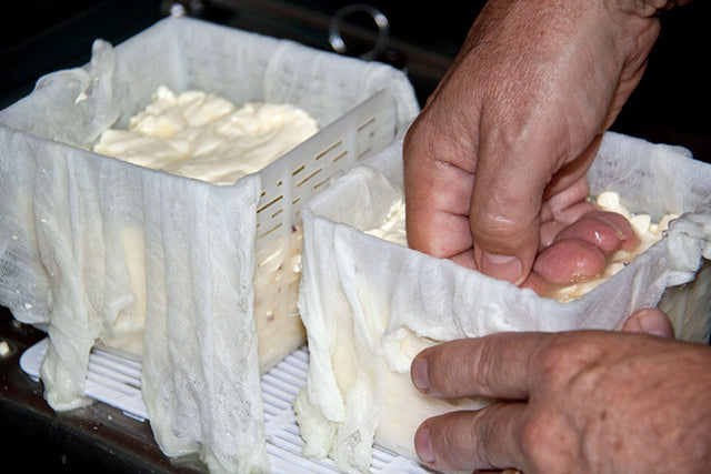 Purple Onion Feta with Andy Cumberland