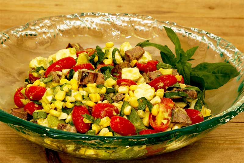 Mozzarella, Tomato And Steak Salad