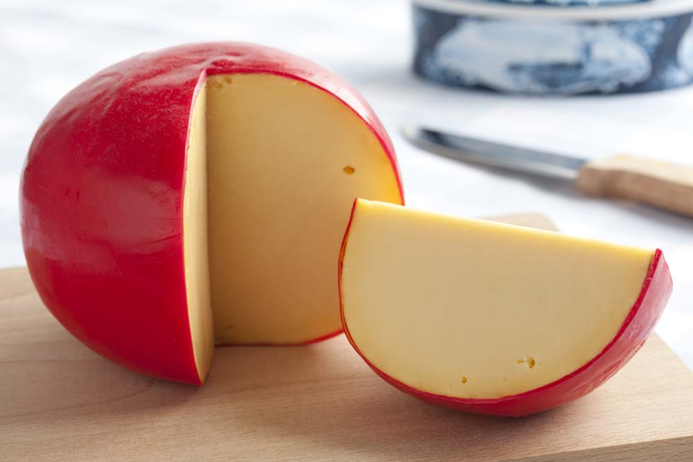 Edam Cheese Making Recipe