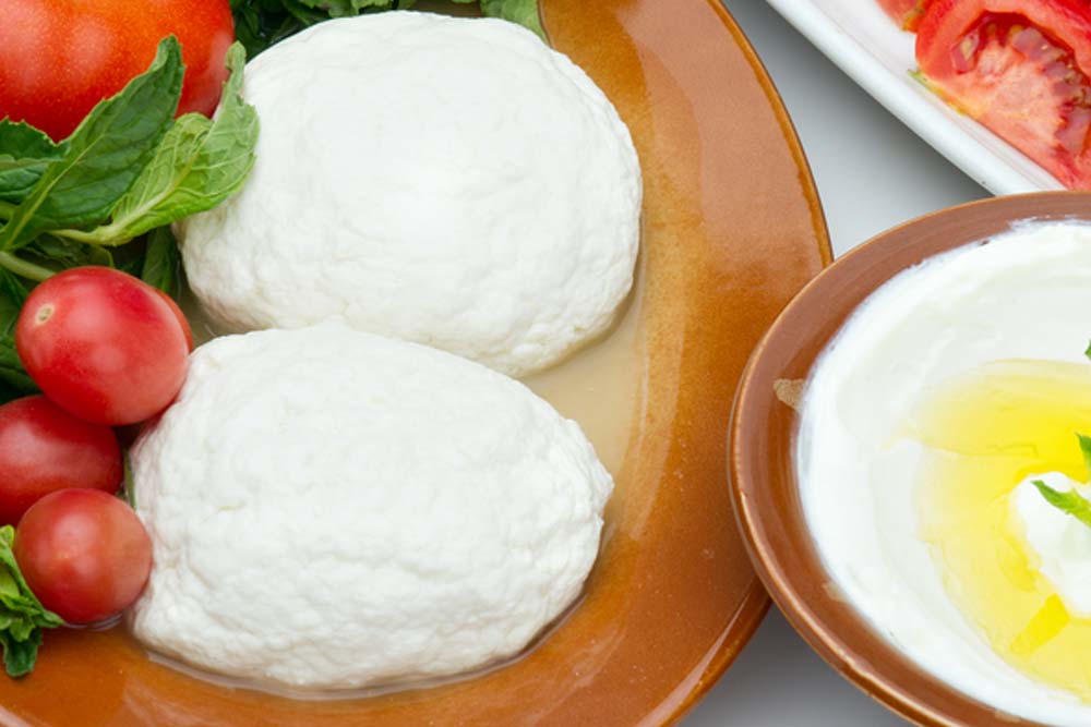 Guban Cheese Making Recipe