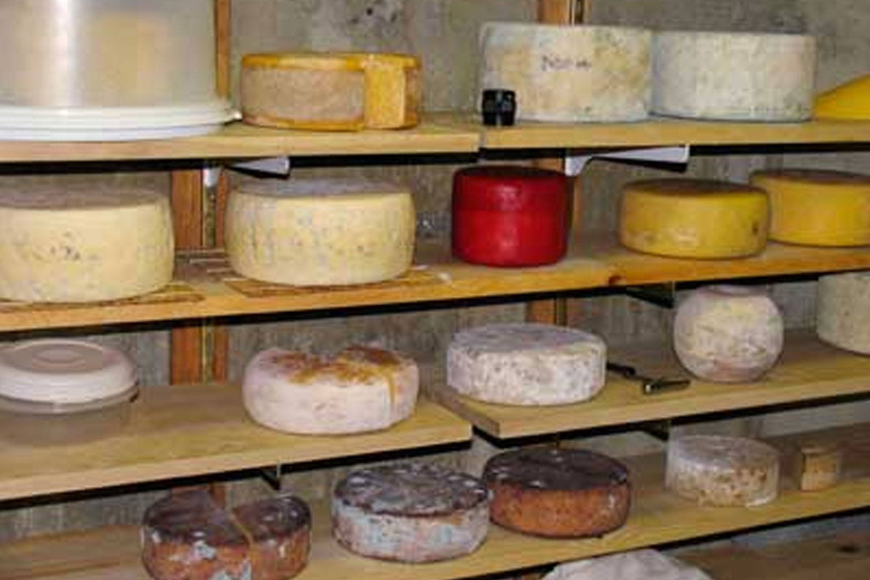 Aging Cheese FAQ