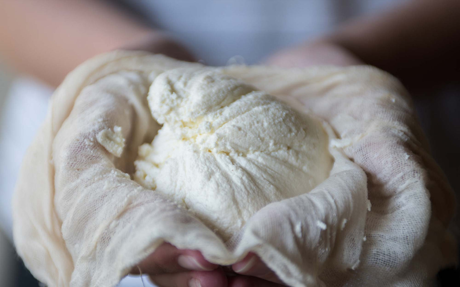 Laurie Higgins Making Cheese