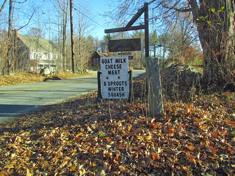 Noreen O'Connell in Milford, New Hampshire