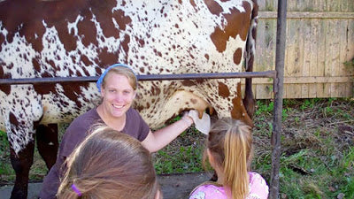 September 7-8, 2013 Raw Milk Dairy Days in Massachusetts