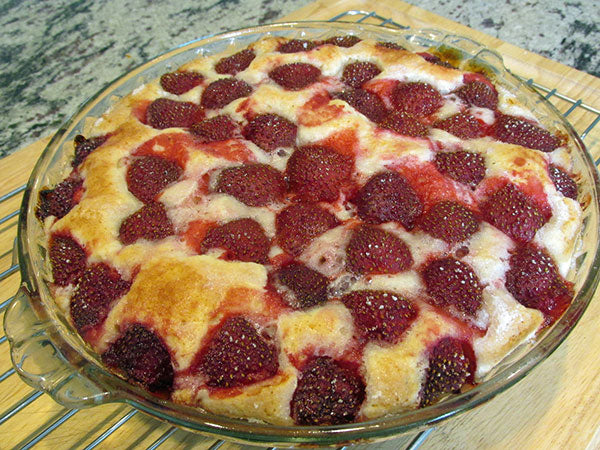 Cheesecake with strawberries on top in glass pan