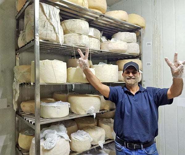 Cheese maker with wheels of cheese on a shelf