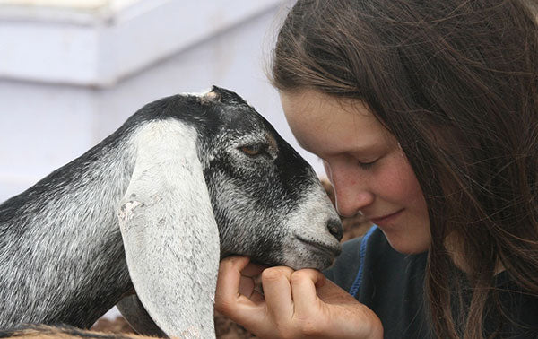 Female and goat touching noses with each other