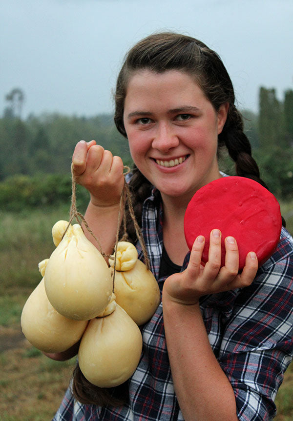 Cheese maker