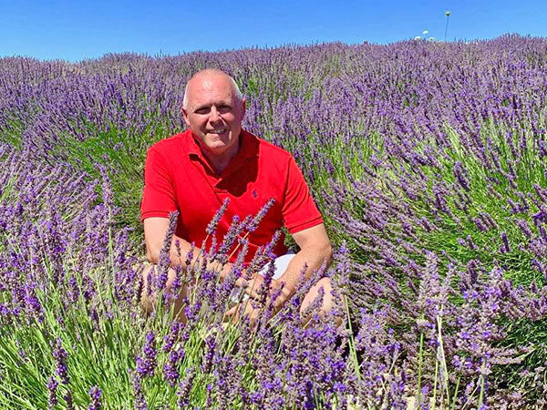 man in lavender field