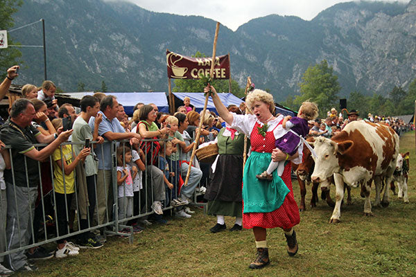 a woman holding a baby leading cowes and people