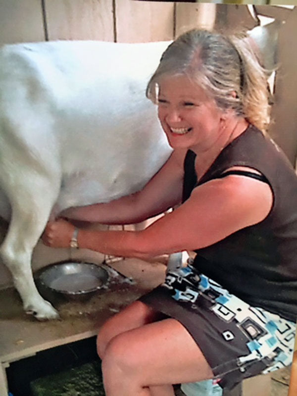 Milking a goat