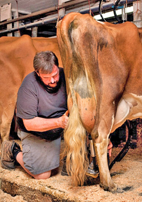 John Miller of Winterplace Farm in Leeds, Maine