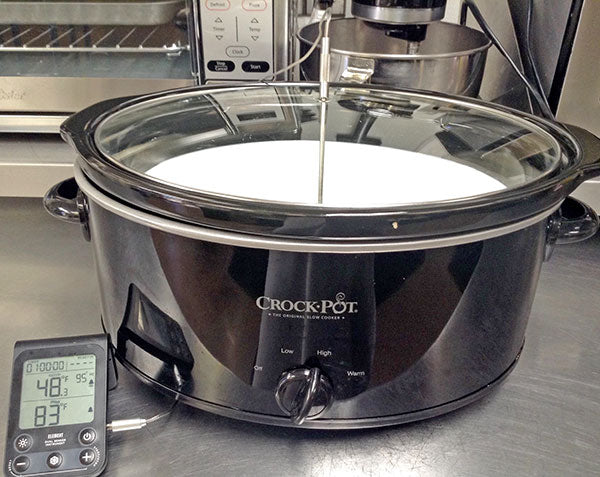 A black crockpot filled with a white substancesits on a steele counter.