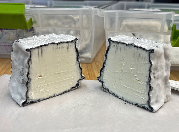 Valencay-Style Cheese by Marybeth Bullington