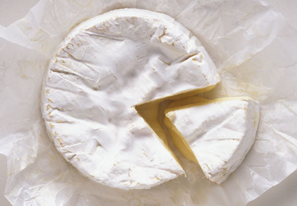 Making Camembert for Beginners-Part 5/Troubleshooting