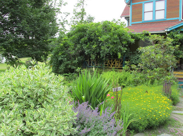 A garden outside of a home with greenery and purple and yellow flowers,