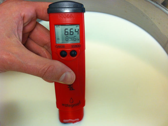 Using a pH Meter for Cheese Making