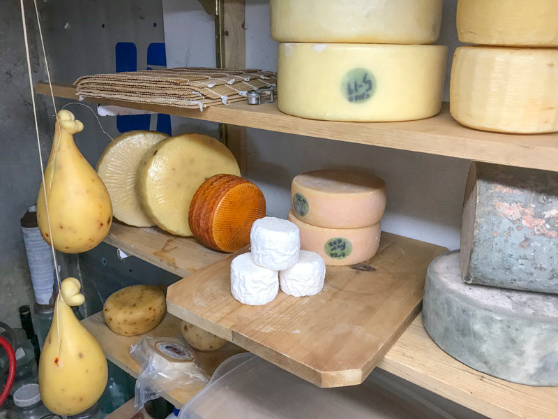 Cheese Making Workshop - Successful Aging