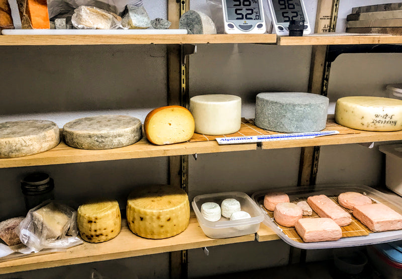 Cheese Making Workshop - Successful Aging