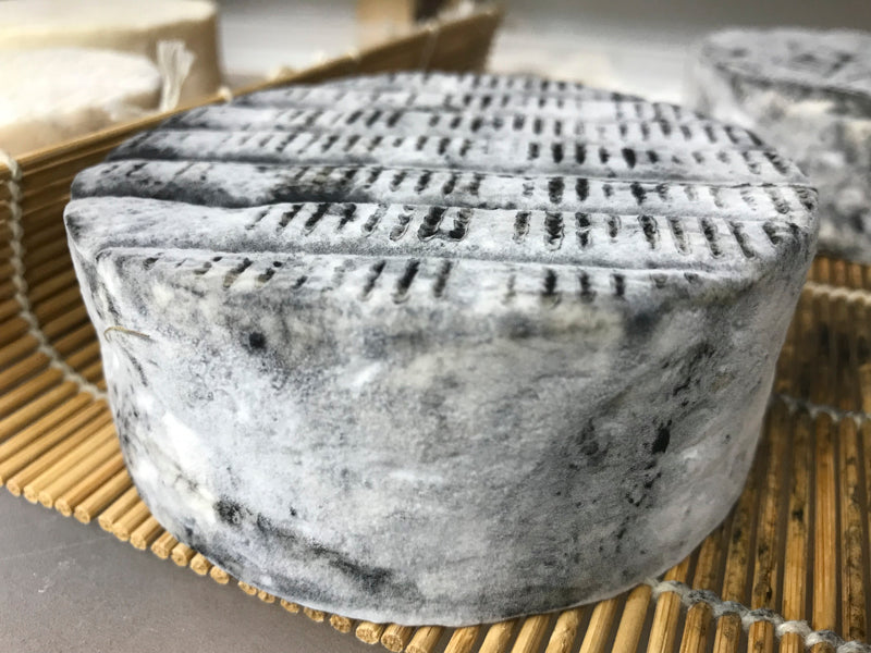 Cheese Making Workshop - Successful Aging