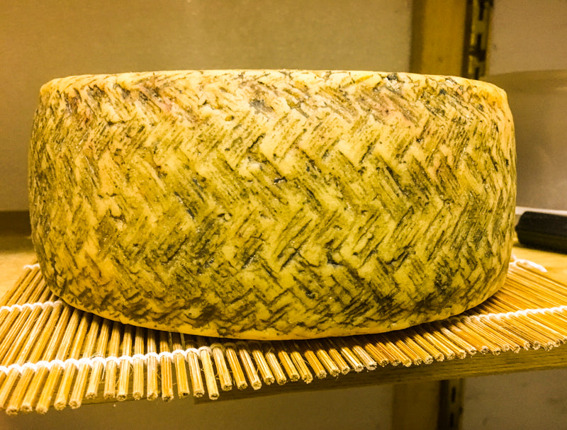 Cheese Making Workshop - Successful Aging