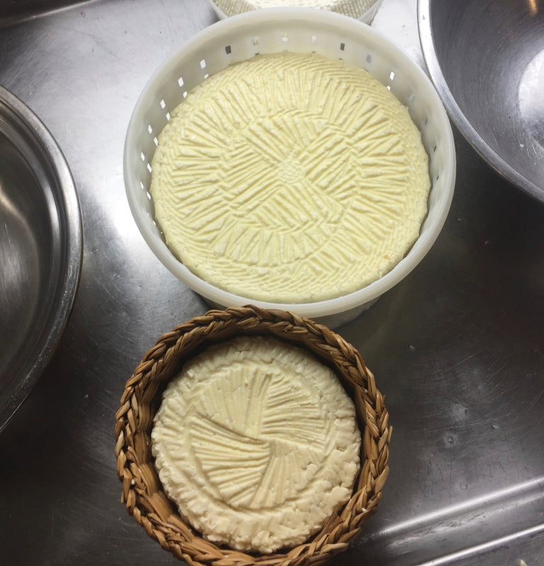 Cheese Making Workshop - Successful Aging