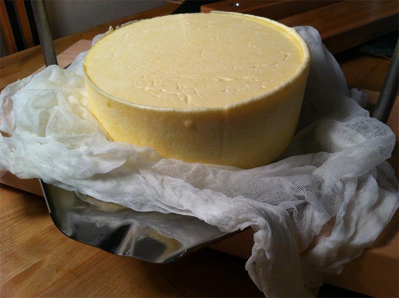 Alpine Tomme Recipe