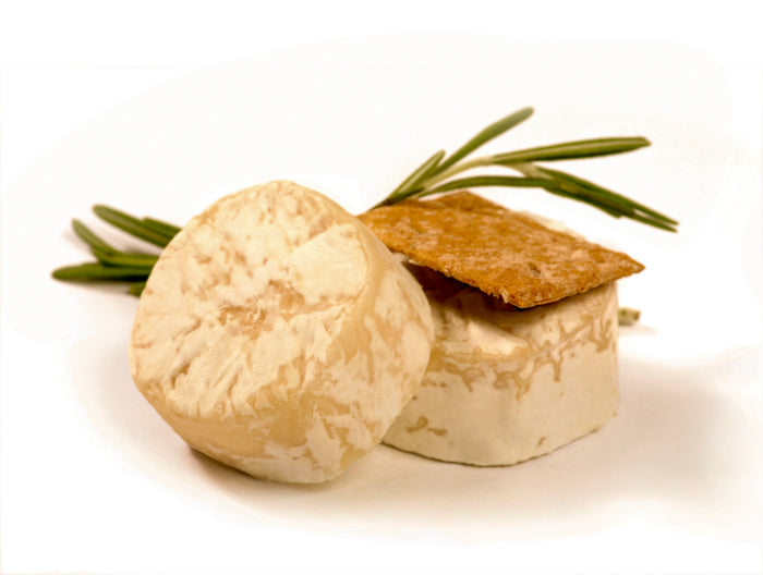 Saint Marcellin Cheese Making Recipe