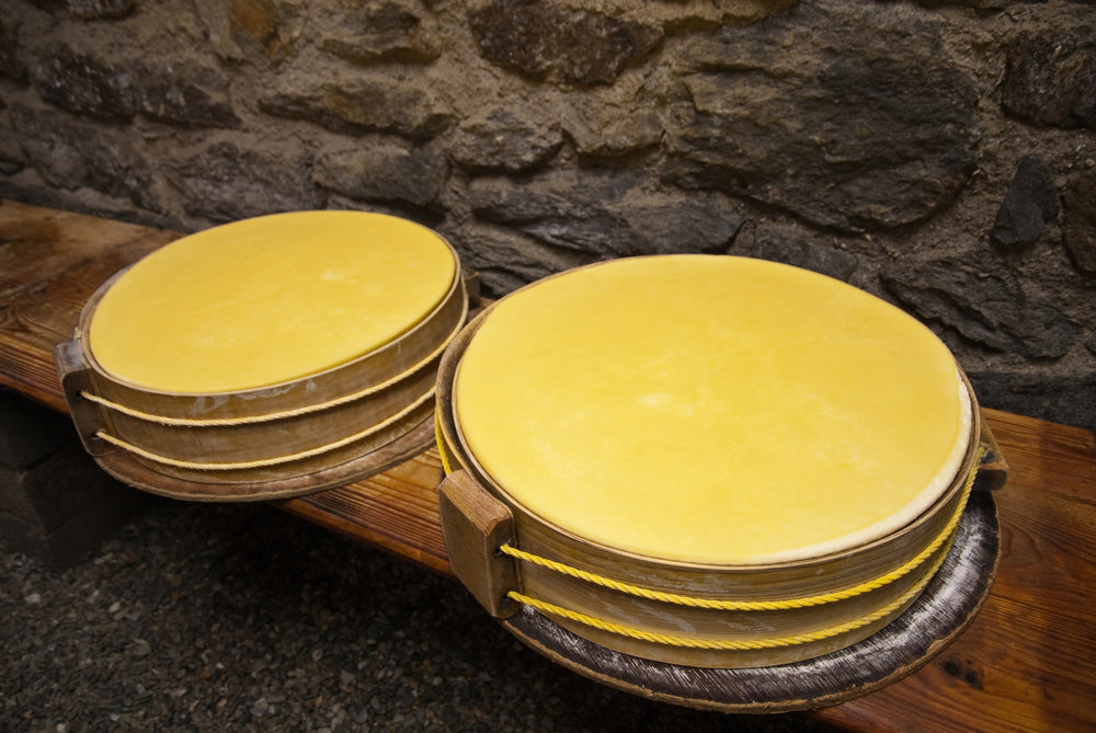 Alpine Style Cheese Making Recipe