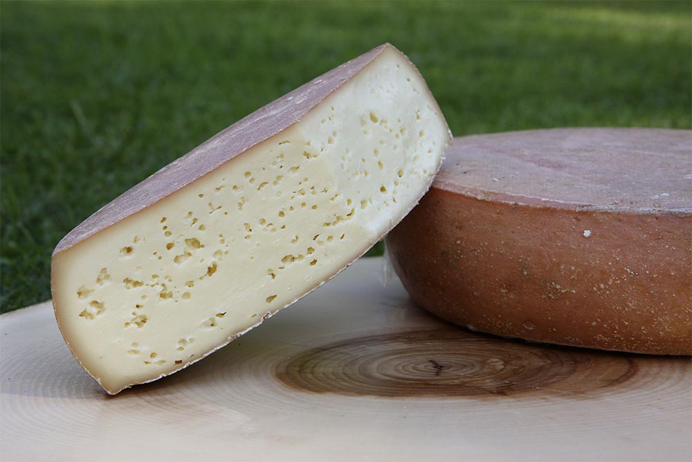 Tilsit Cheese Making Recipe