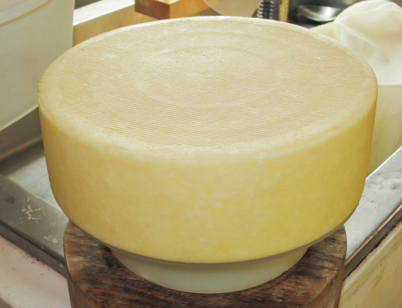 Sao Jorge Cheese Making Recipe