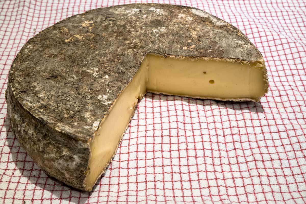 Saint Nectaire Cheese Making Recipe