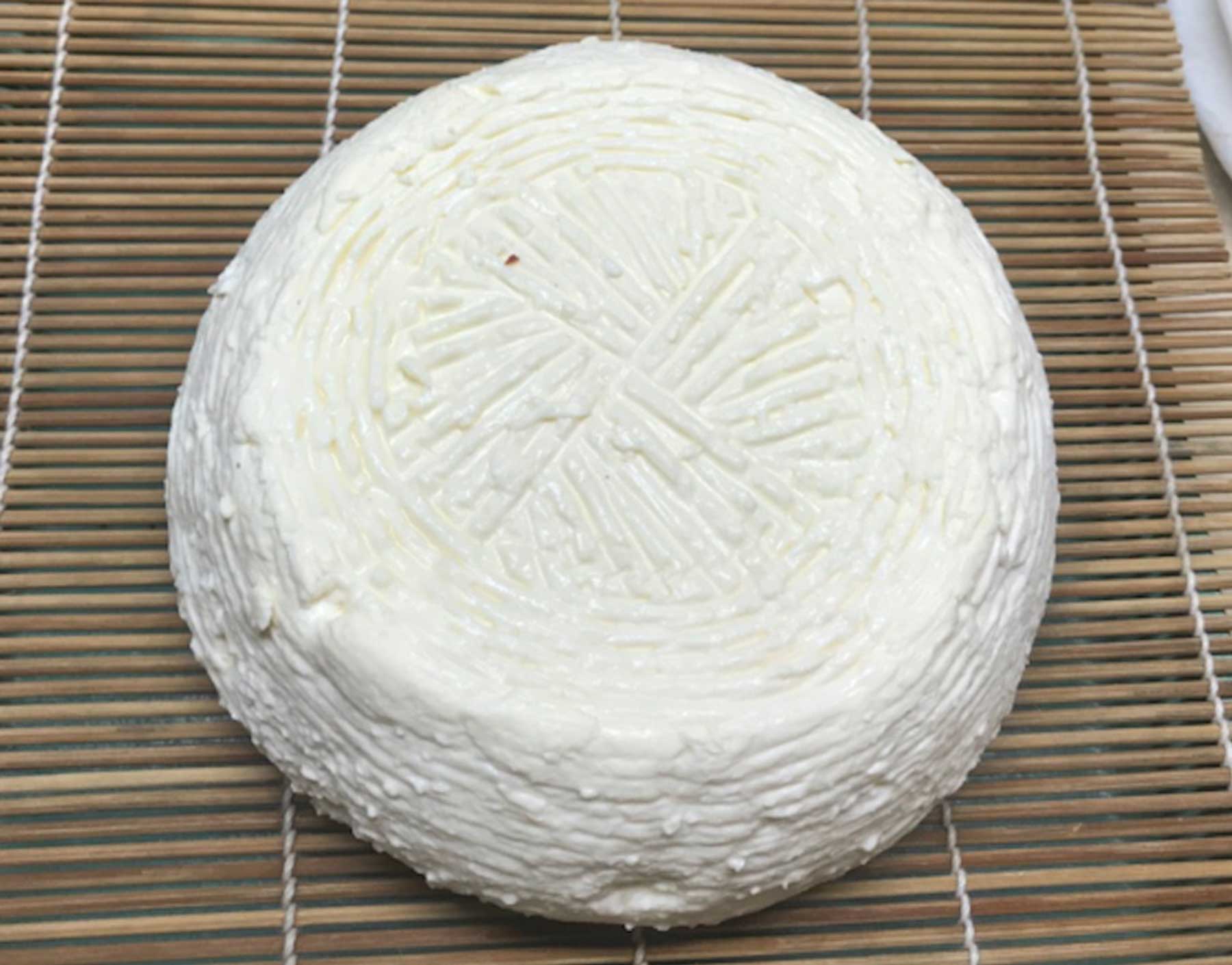 Squacquerone Cheese Making Recipe